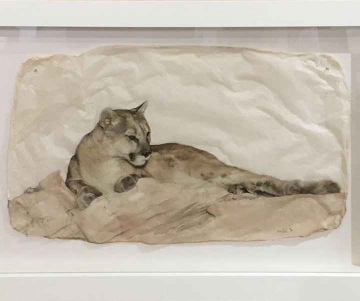 گالری نقاشی‌های پیت زالوزک از آمریکا