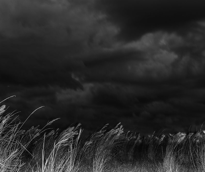 گالری آثار عکاسی خوانیتا اسکوبار از کلمبیا