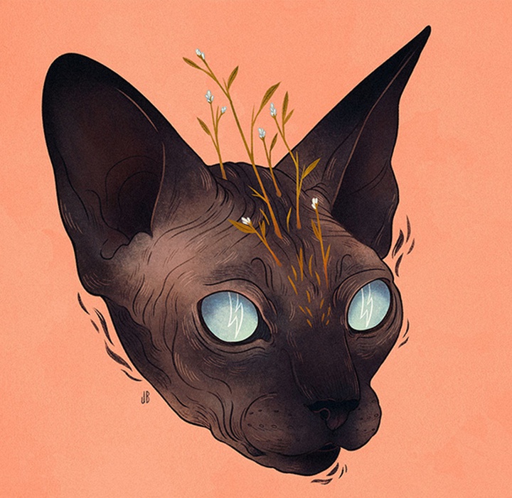 گالری آثار تصویرسازی جنا بارتون از آمریکا