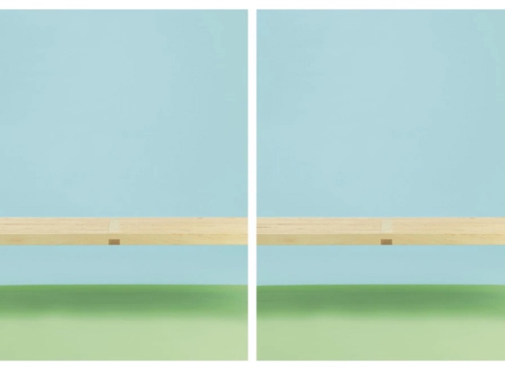 گالری عکس‌های ویلیام وگمن از آمریکا