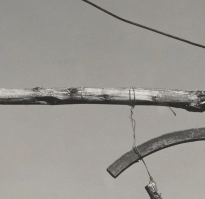 گالری عکس‌های ادوارد وستون از آمریکا