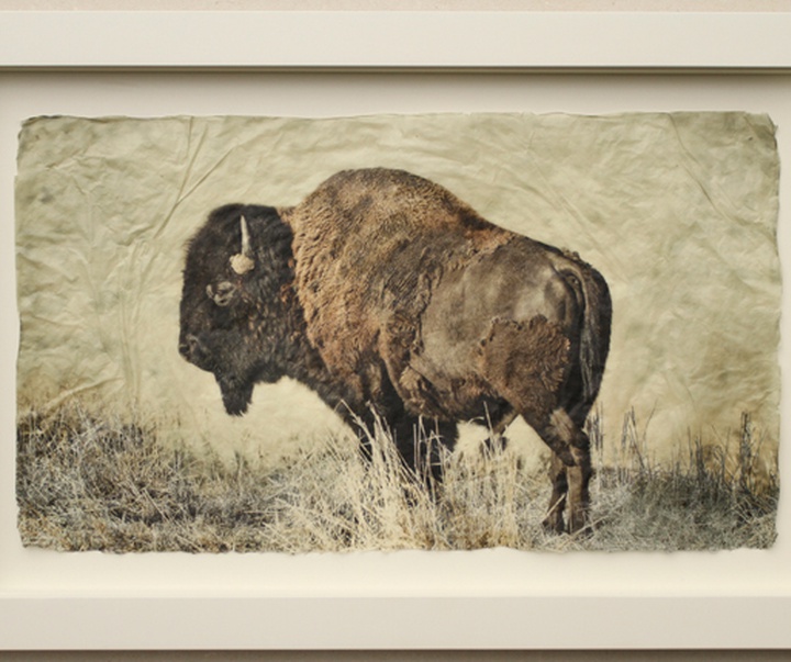 گالری نقاشی‌های پیت زالوزک از آمریکا