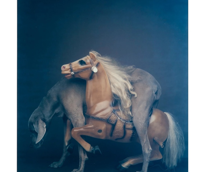 گالری عکس‌های ویلیام وگمن از آمریکا