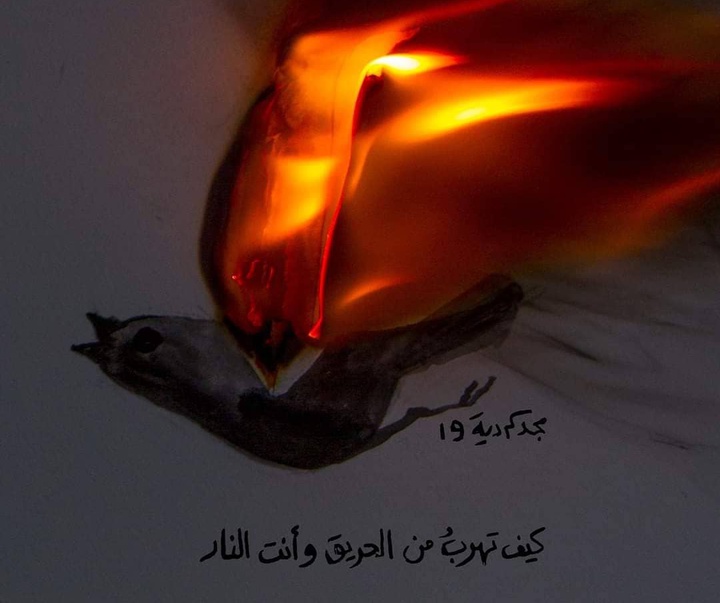 گالری تصویرسازی‌های الداد از فلسطین