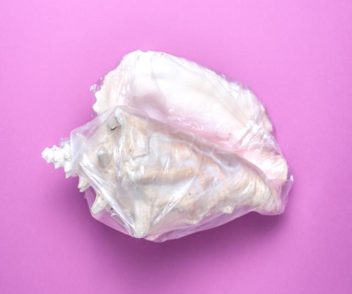 گالری عکس‌های وولف سیلوری از اتریش