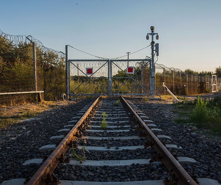 گالری آثار عکاسی لالو د آلمیدا از برزیل - قسمت دوم