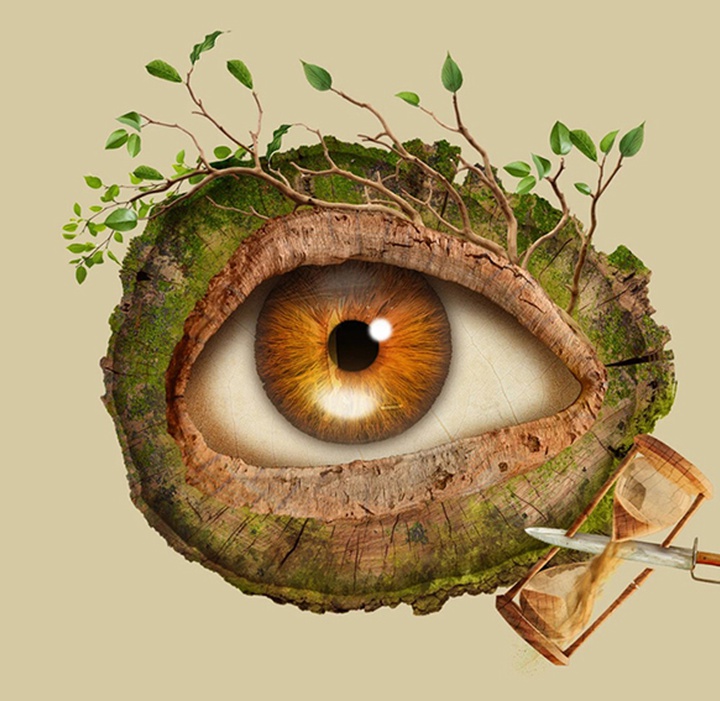 گالری تصویرسازی‌های گیرمو فلورس پاچکو از مکزیک