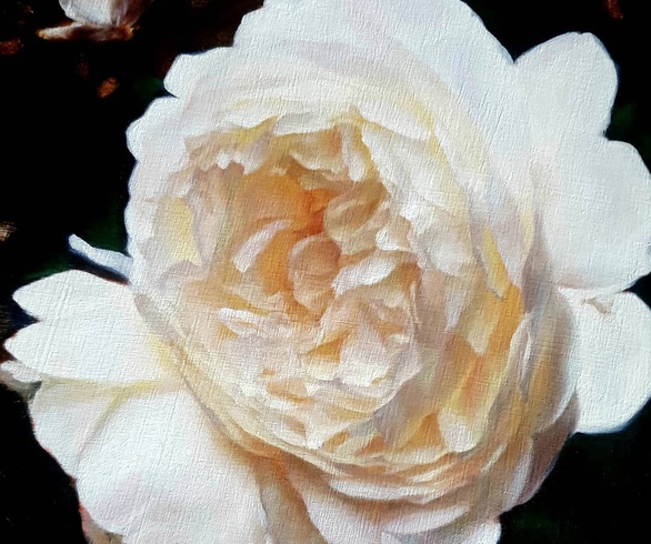 گالری نقاشی های استفانی راجرز از انگلیس