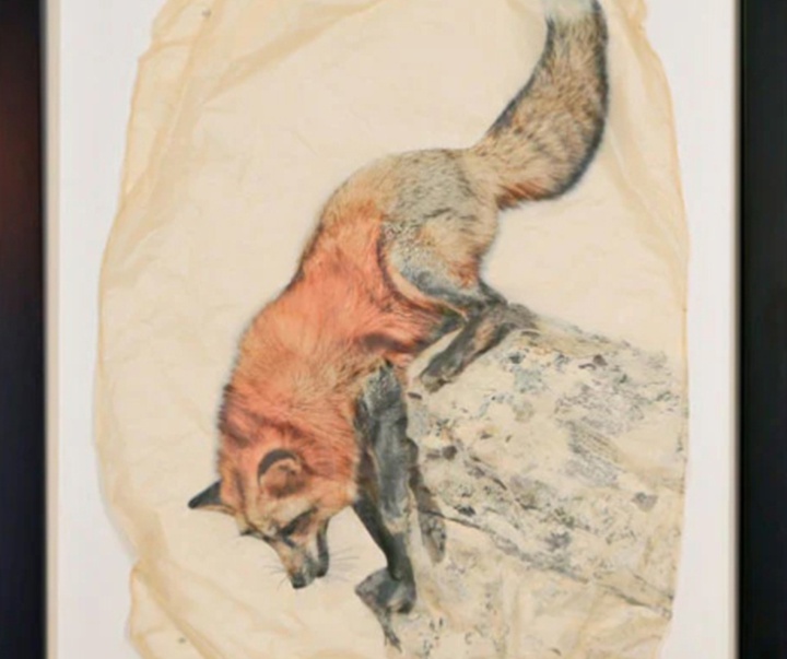 گالری نقاشی‌های پیت زالوزک از آمریکا