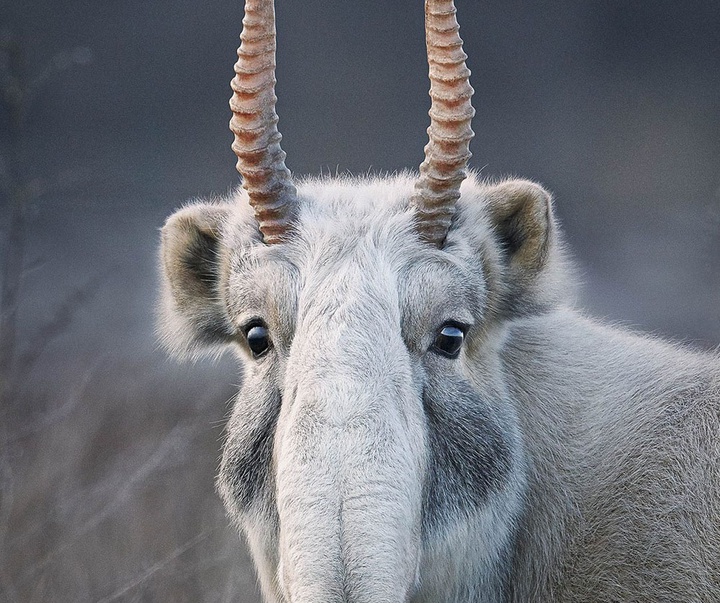 گالری عکس‌های خلاقانه تیم فلچ از بریتانیا