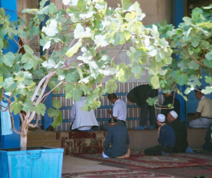 گالری آثار عکاسی کریستین ایبل از فرانسه