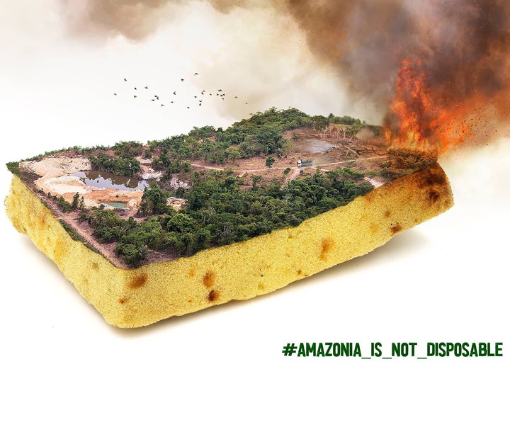 گالری پوستر و عکاسی اثر پلاتینیوم FMD – برزیل