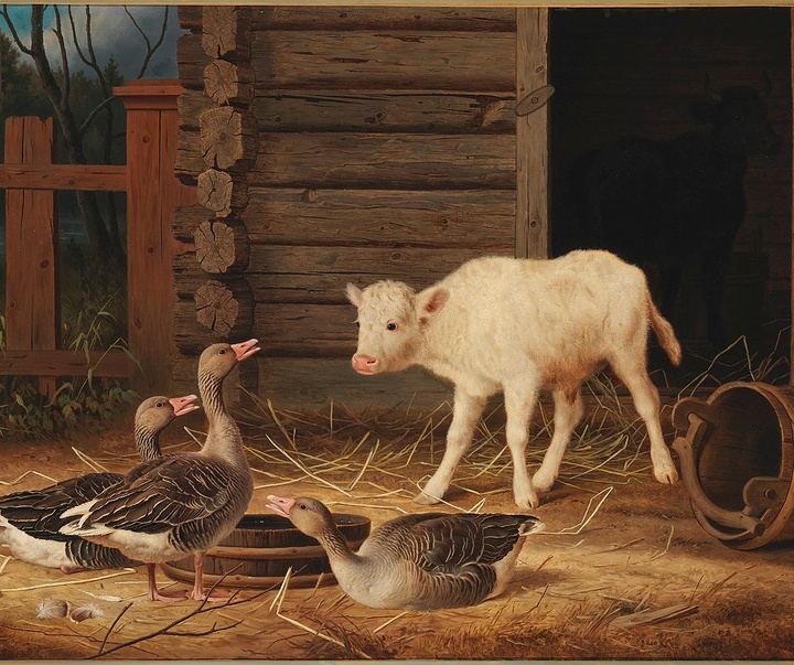 ferdinand von wright
