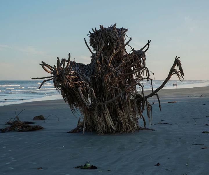 گالری آثار عکاسی لالو د آلمیدا از برزیل - قسمت دوم