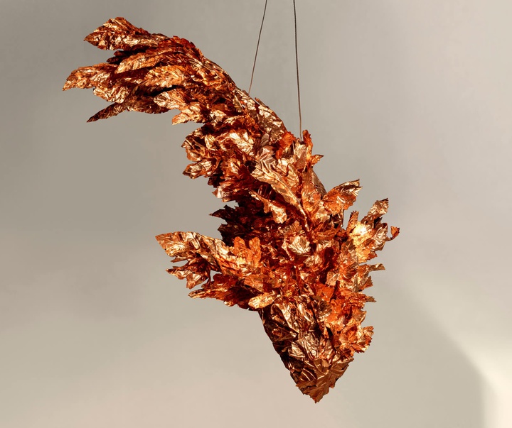 گالری آثار مجسمه و حجم فرانک گهری هنرمند آمریکایی کانادایی