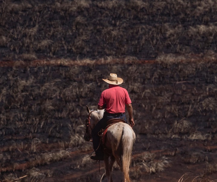 گالری آثار عکاسی ویکتور موریاما از برزیل