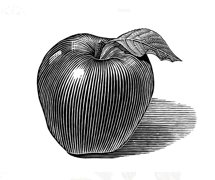 گالری آثار تصویرسازی راجر خاویر از آمریکا