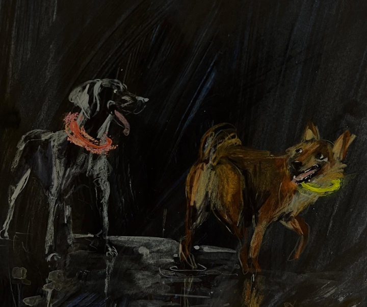 گالری تصویرسازی های جنی بلومفیلد از انگلیس