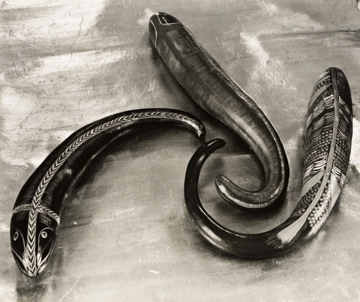 گالری عکس‌های ادوارد وستون از آمریکا