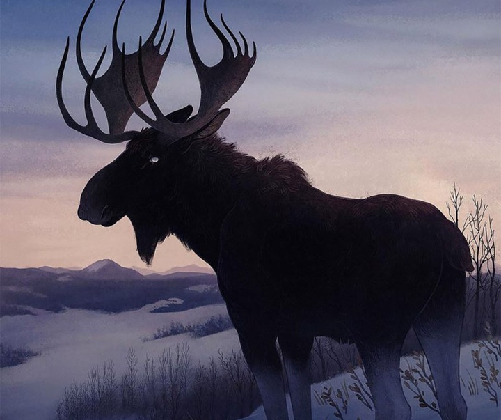 گالری آثار تصویرسازی جنا بارتون از آمریکا