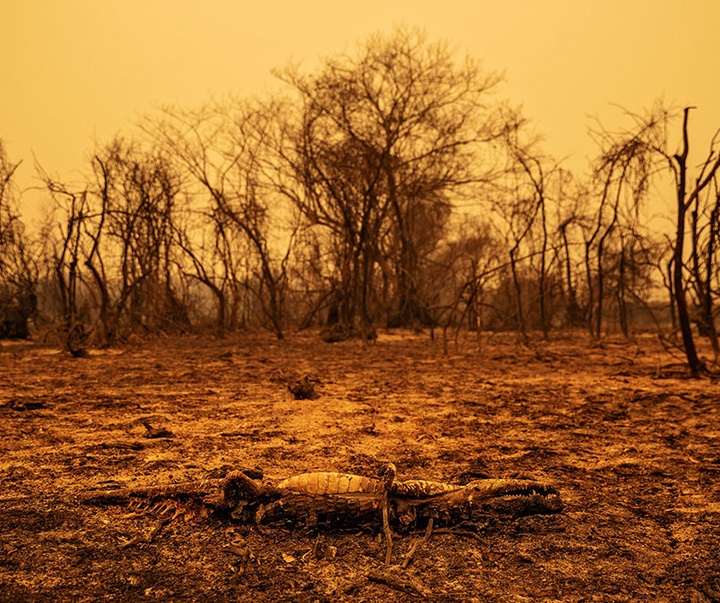 گالری آثار عکاسی لالو د آلمیدا از برزیل - قسمت اول