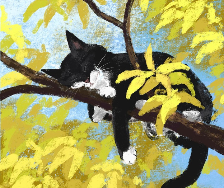 جنی بلومفیلد