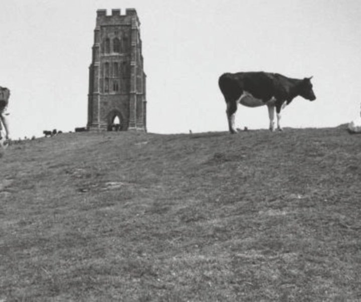 گالری آثار عکاسی مارتین پار از بریتانیا