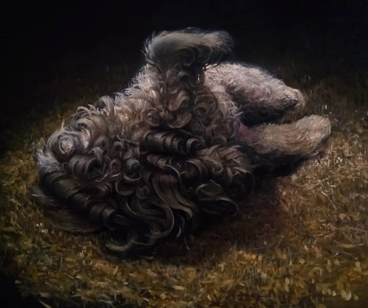 گالری نقاشی‌های لولا ماری از آرژانتین