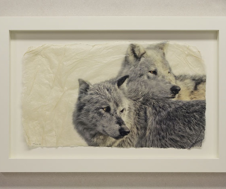 گالری نقاشی‌های پیت زالوزک از آمریکا