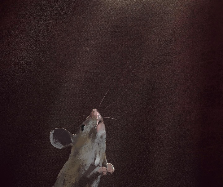 گالری تصویرسازی های جنی بلومفیلد از انگلیس