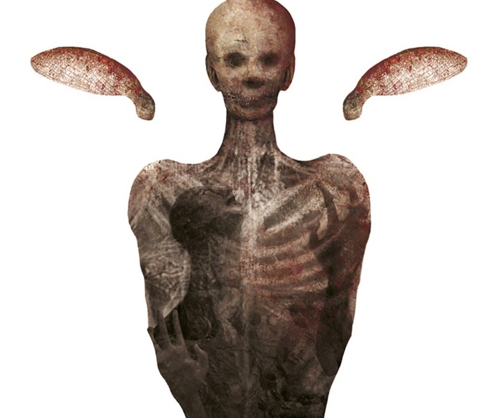 گالری تصویرسازی‌های گابریل پاچکو از مکزیک