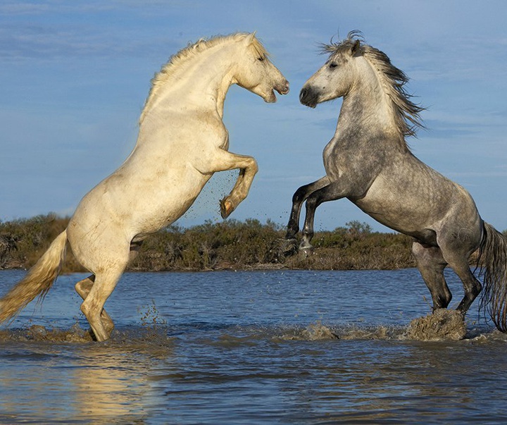 گالری آثار عکاسی جیم زاکرمن از برزیل - قسمت دوم