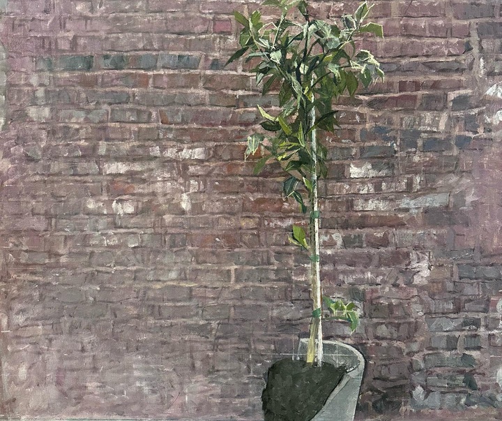 گالری نقاشی های برناردو سیسیلیانو از ایتالیا