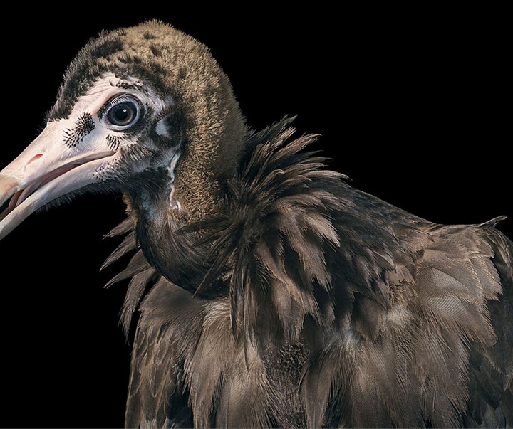 گالری عکس‌های خلاقانه تیم فلچ از بریتانیا