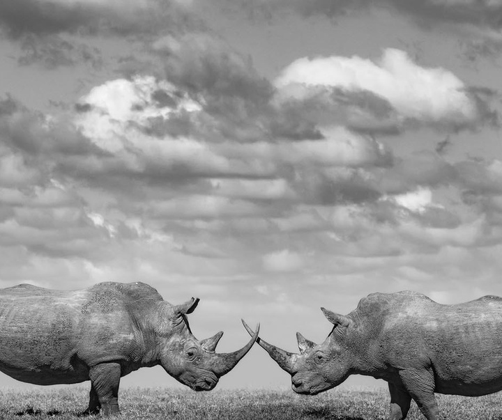 گالری عکس های جیمز لوین از انگلیس