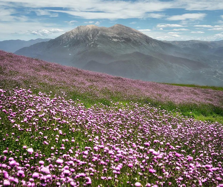 گالری عکس های نیما جبرائیلی از ایران