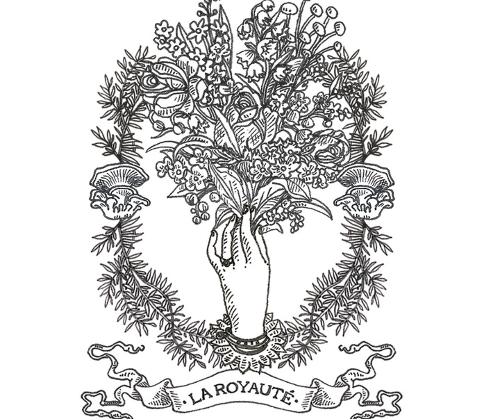 گالری آثار تصویرسازی نیکول بوستامانته از برزیل