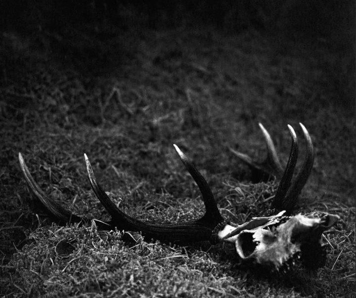 گالری آثار عکاسی مایک سایدل از آلمان