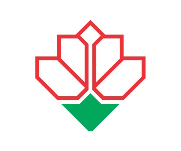 گالری آثار گرافیک لادن رضائی و ایرج میرزاعلیخانی از ایران