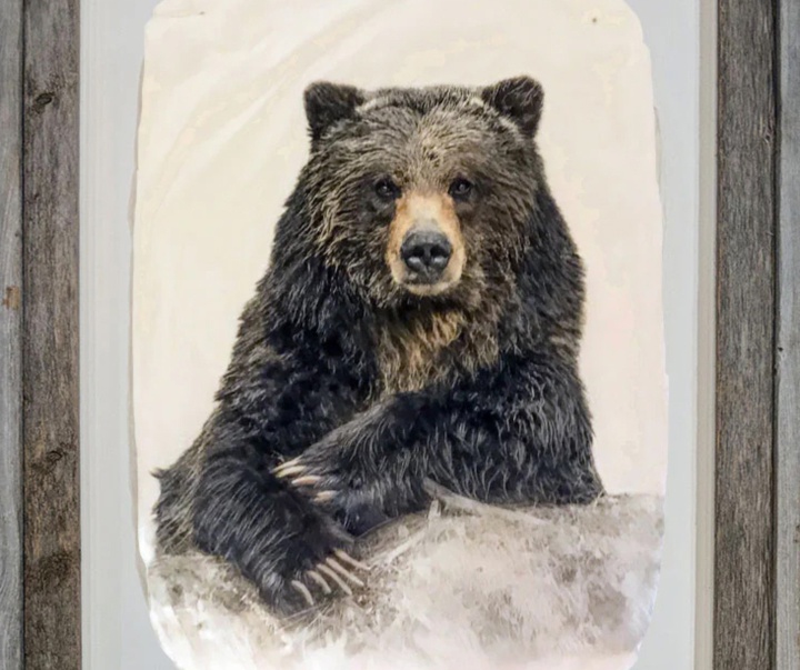 گالری نقاشی‌های پیت زالوزک از آمریکا