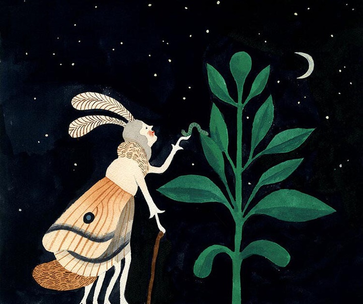 کارسون الیس