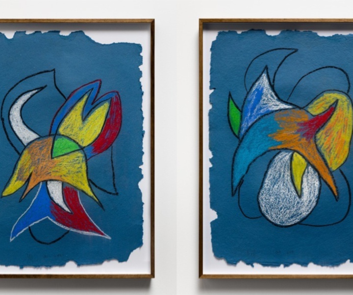 گالری تصویرسازی‌های تادسکیا از برزیل