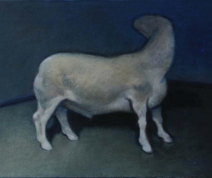 mirmohammad fatahi