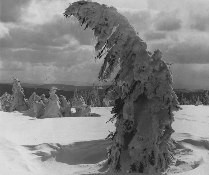 گالری آثار عکاسی آلبرت رنگر-پاتش از آلمان