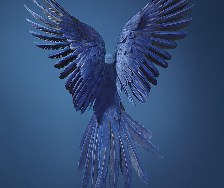 گالری عکس‌های خلاقانه تیم فلچ از بریتانیا