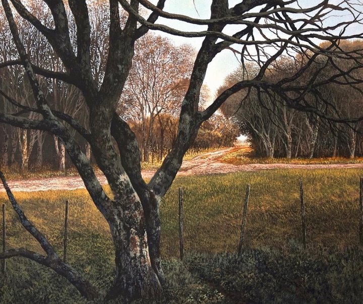 گالری آثار نقاشی آبرنگ خورخه فراسکا از آرژانتین