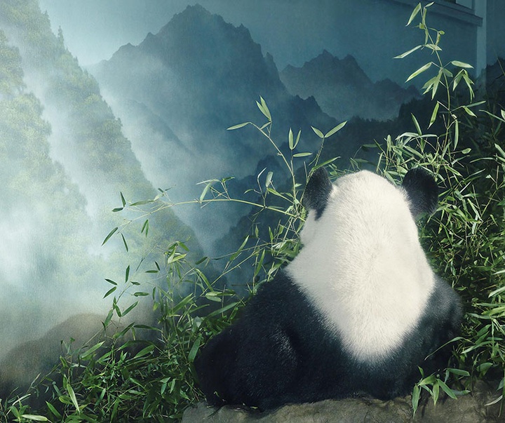 گالری عکس‌های خلاقانه تیم فلچ از بریتانیا