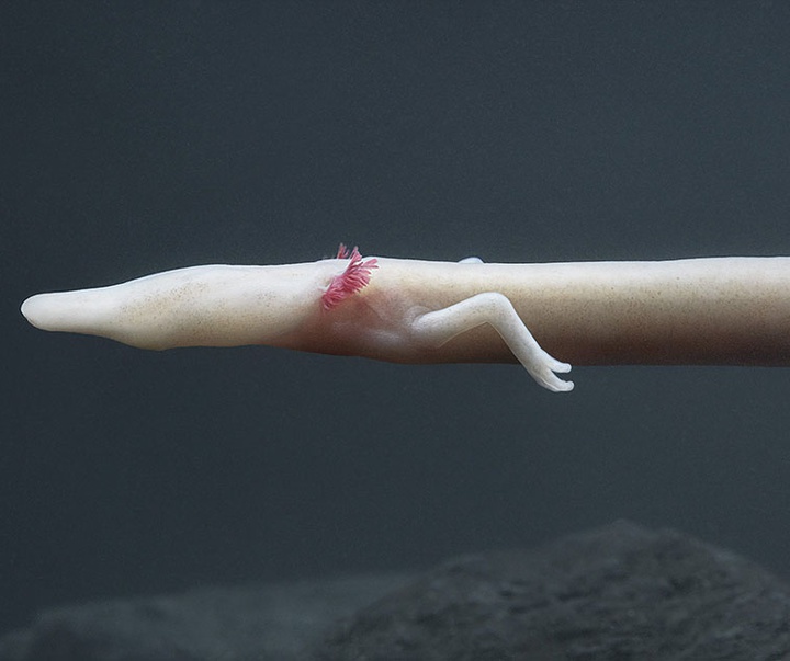 گالری عکس‌های خلاقانه تیم فلچ از بریتانیا