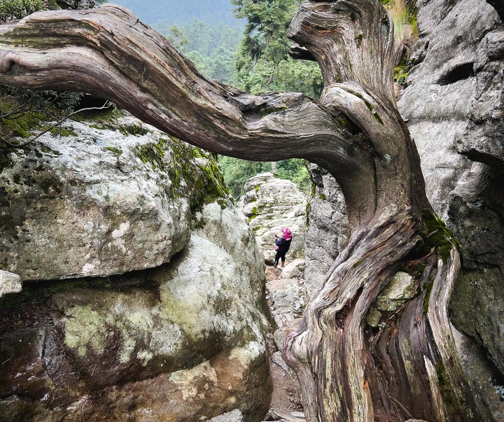 گالری آثار عکاسی اروین آندرس فریر اوکانا از مکزیک