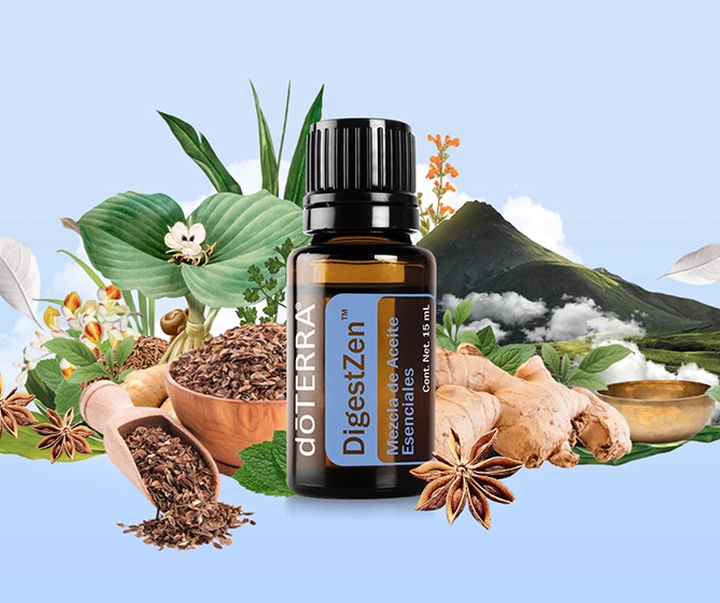 گالری تصویرسازی‌های گیرمو فلورس پاچکو از مکزیک